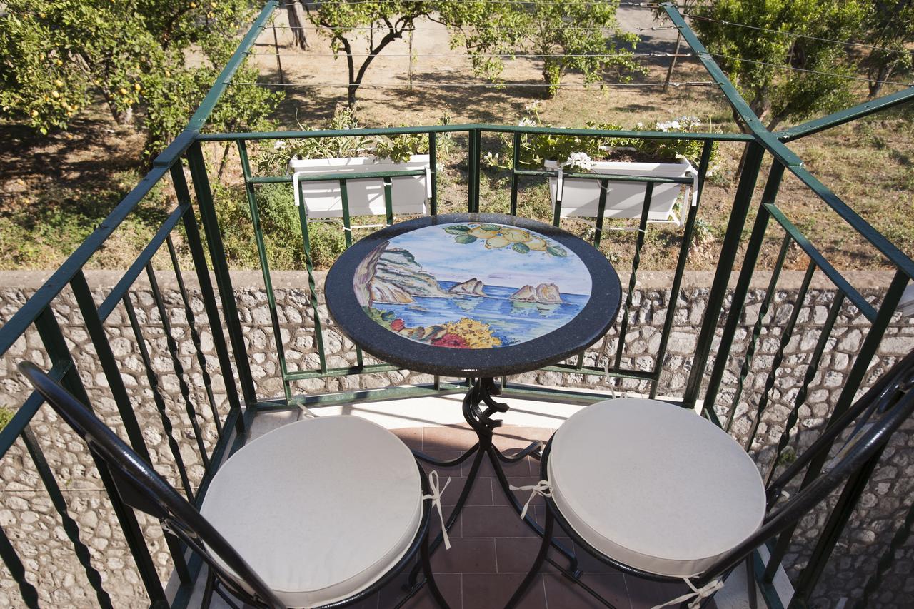 Golfo Delle Sirene Bed & Breakfast Sorrento Luaran gambar